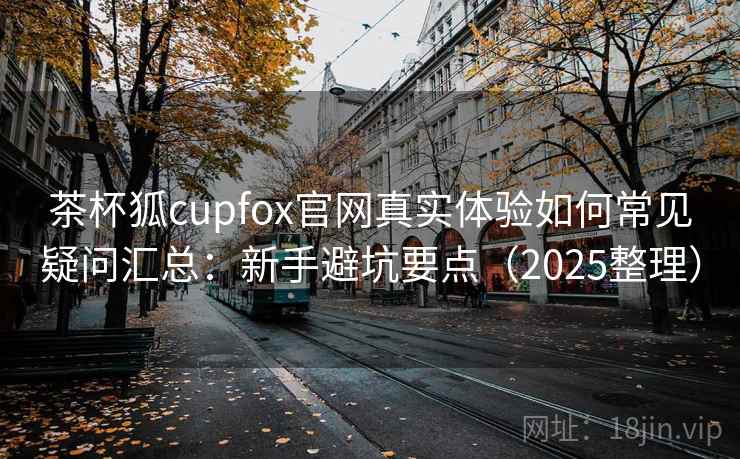 茶杯狐cupfox官网真实体验如何常见疑问汇总：新手避坑要点（2025整理）
