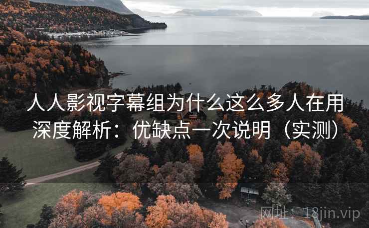 人人影视字幕组为什么这么多人在用深度解析：优缺点一次说明（实测）