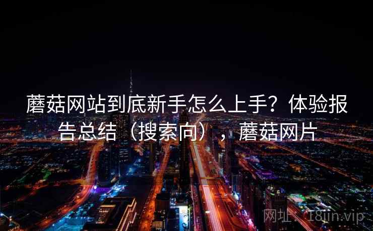 蘑菇网站到底新手怎么上手？体验报告总结（搜索向），蘑菇网片