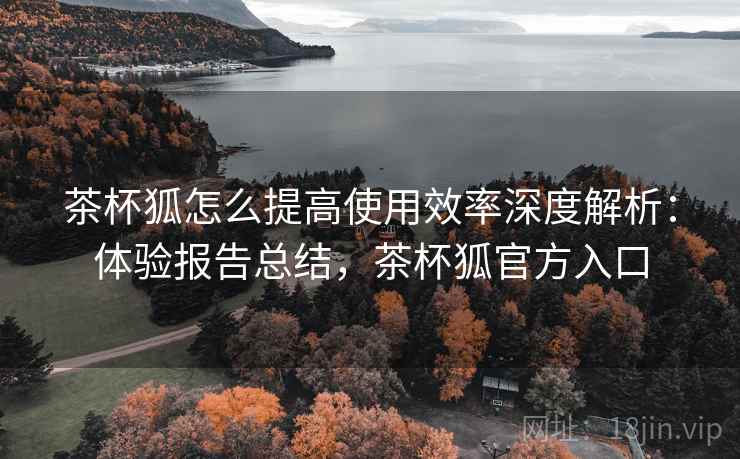 茶杯狐怎么提高使用效率深度解析：体验报告总结，茶杯狐官方入口