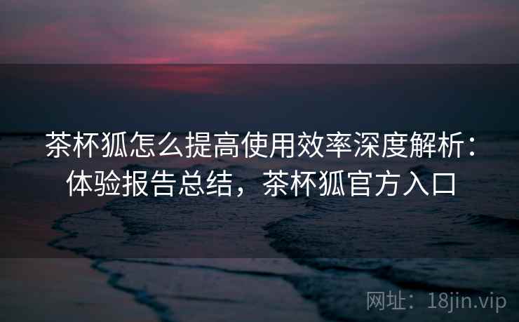 茶杯狐怎么提高使用效率深度解析：体验报告总结，茶杯狐官方入口