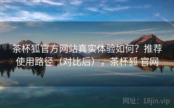 茶杯狐官方网站真实体验如何？推荐使用路径（对比后），茶杯狐 官网